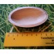 Palmblatt-Dippschälchen, oval 